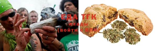 стаф Вязьма