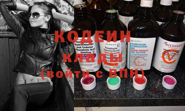 стаф Вязьма