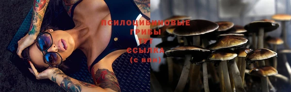 мдпв Медногорск