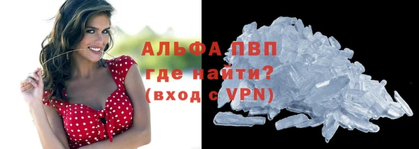 стаф Вязьма
