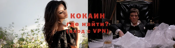 шишки Вяземский