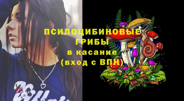 трава Майский