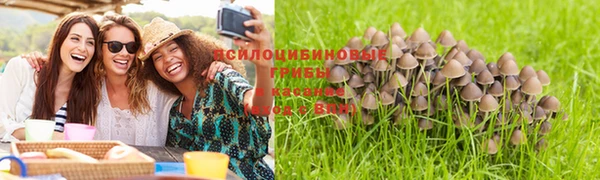 шишки Вяземский