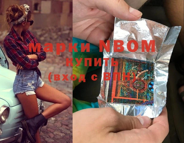 стаф Вязьма