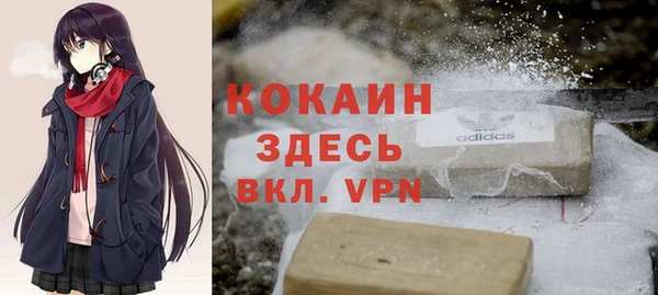 стаф Вязьма
