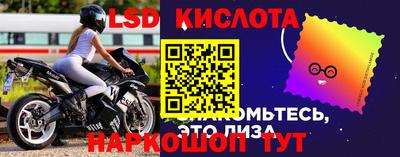 хмурый Донской