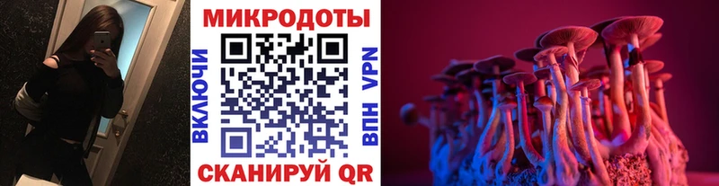 Псилоцибиновые грибы ЛСД  blacksprut онион  Дальнереченск 