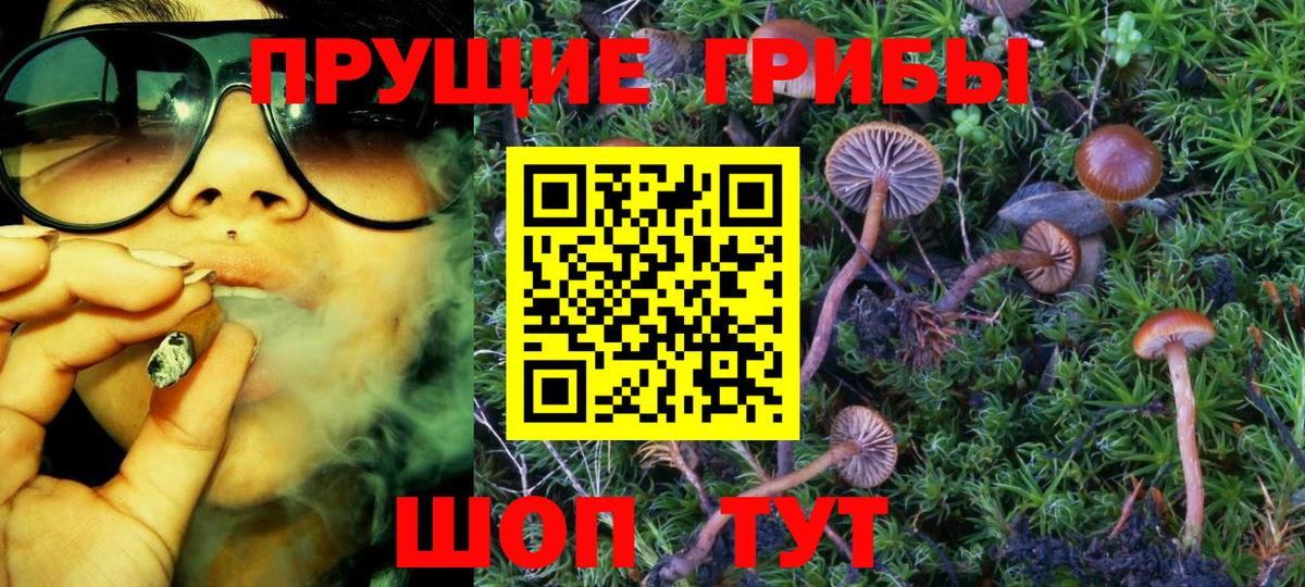 Псилоцибиновые грибы ЛСД Дальнереченск