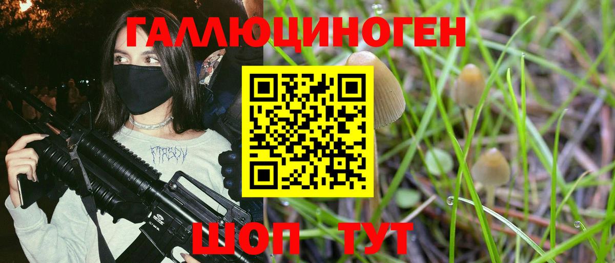 Псилоцибиновые грибы мицелий  Галлюциногенные грибы мицелий  Вход с VPN  Дальнереченск 